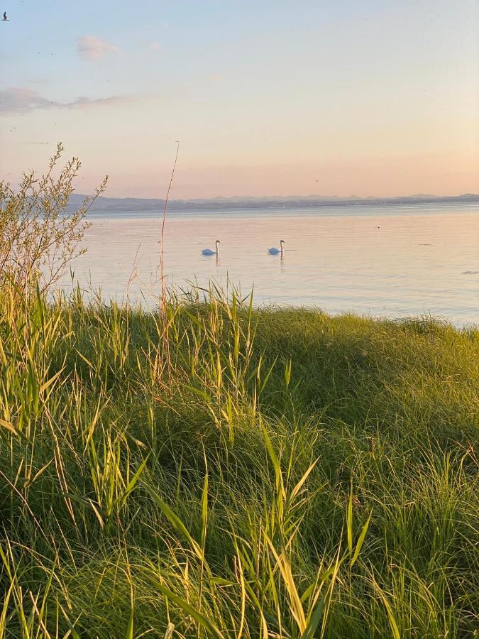 Ferien-Apartment Eisvogel Im Naturschutzgebiet Mit Privatstrand FDH Exterior foto