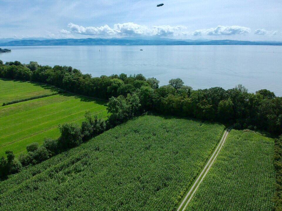 Ferien-Apartment Eisvogel Im Naturschutzgebiet Mit Privatstrand FDH Exterior foto